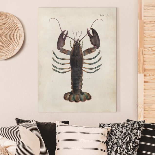 Kök dekoration Vintage Illustration Lobster
