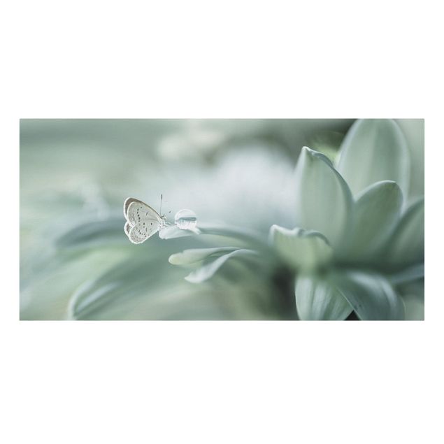 Canvastavlor blommor  Butterfly And Dew Drops In Pastel Green
