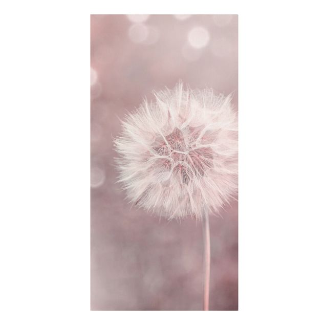Tavlor blommor Dandelion Bokeh Light Pink