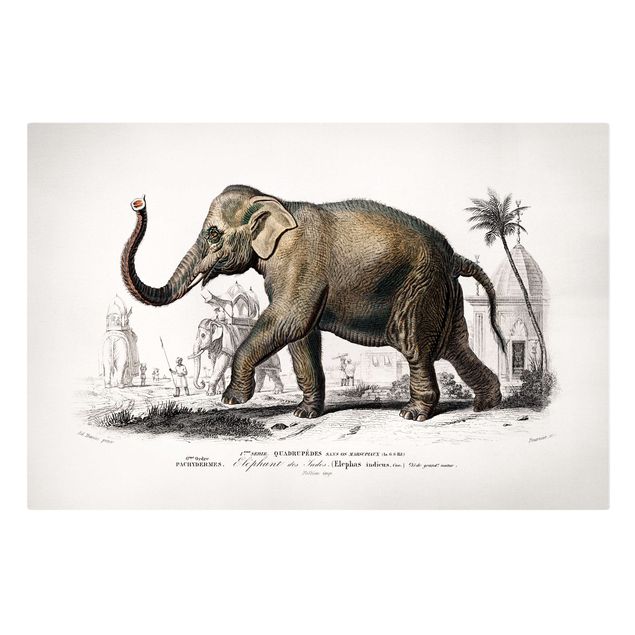 Canvastavlor landskap Vintage Board Elephant
