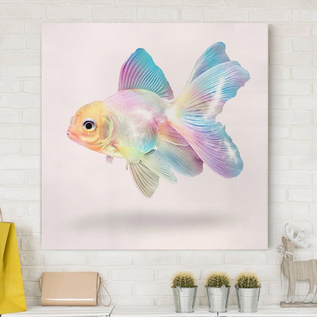Canvastavlor fisk Fish In Pastel