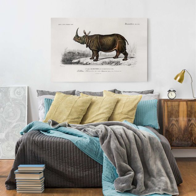Tavlor landskap Vintage Board Rhino