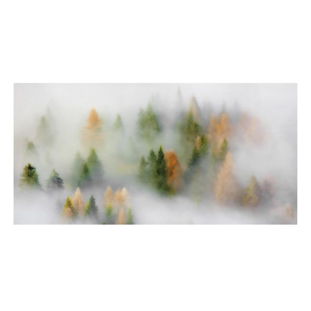 Canvastavlor skogar Cloud Forest In Autumn