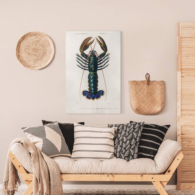 Canvastavlor djur Vintage Board Blue Lobster
