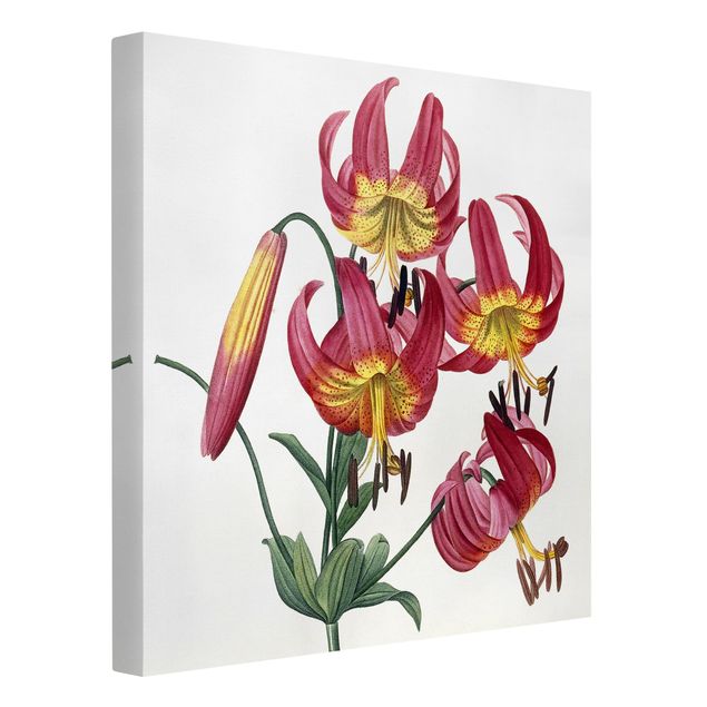 Canvastavlor blommor  Pierre Joseph Redoute - Lilium Superbum