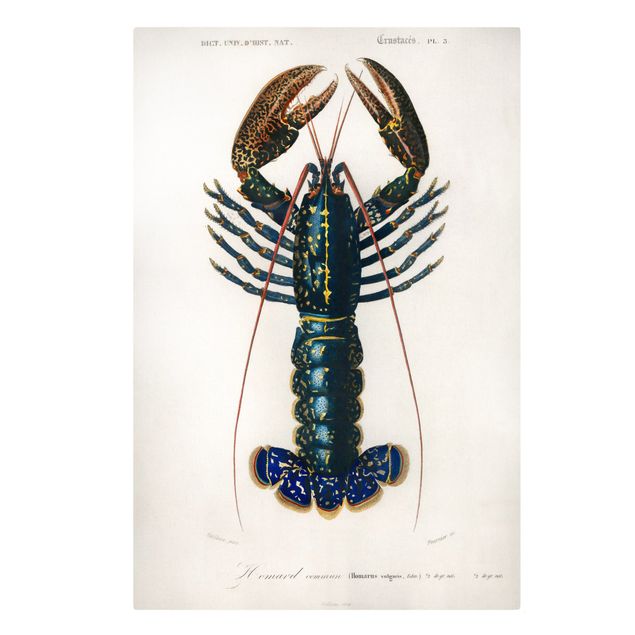 Tavlor blå Vintage Board Blue Lobster