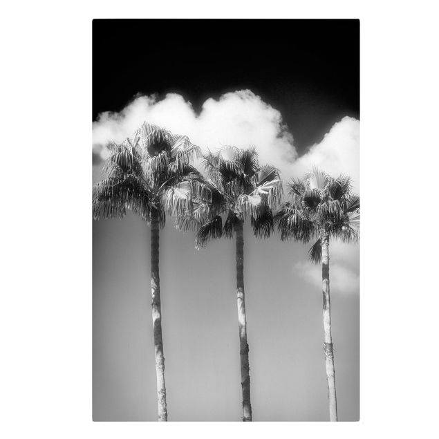 Tavlor blommor Palm Trees Against The Sky Black And White