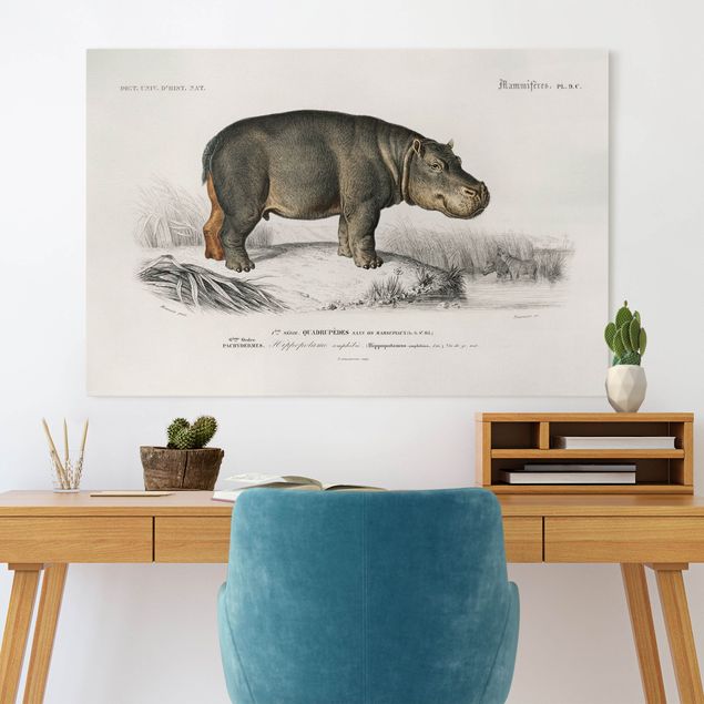 Canvastavlor hästar Vintage Board Hippo