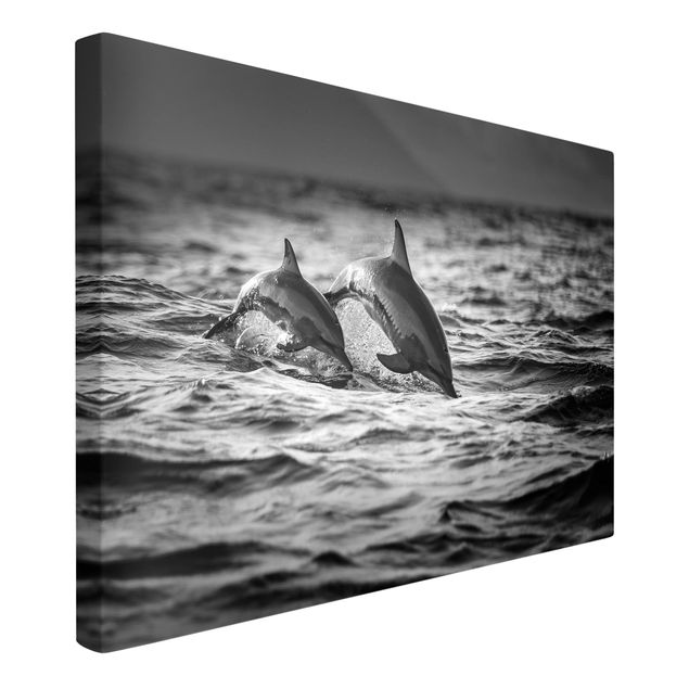 Canvastavlor svart och vitt Two Jumping Dolphins