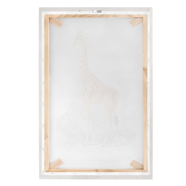 Tavlor gul Vintage Board Giraffe