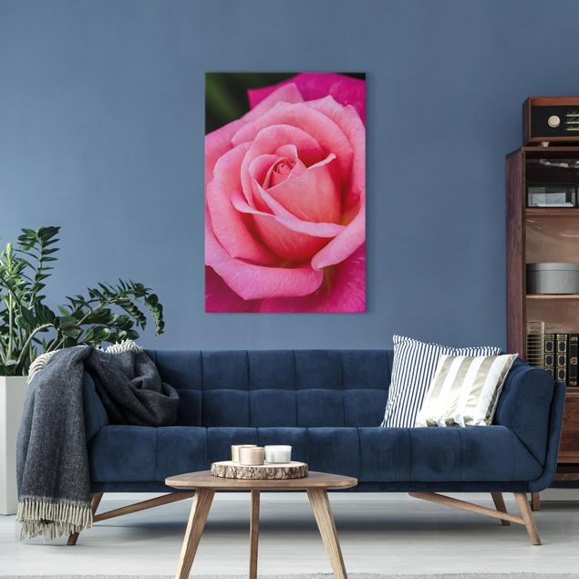Canvastavlor blommor  Pink Rose Flowers Green Backdrop