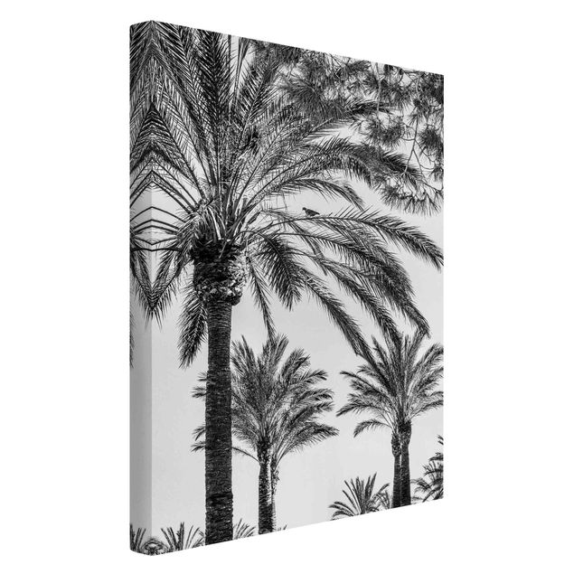 Canvastavlor blommor  Palm Trees At Sunset Black And White