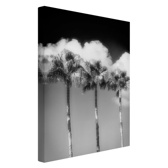 Canvastavlor svart och vitt Palm Trees Against The Sky Black And White