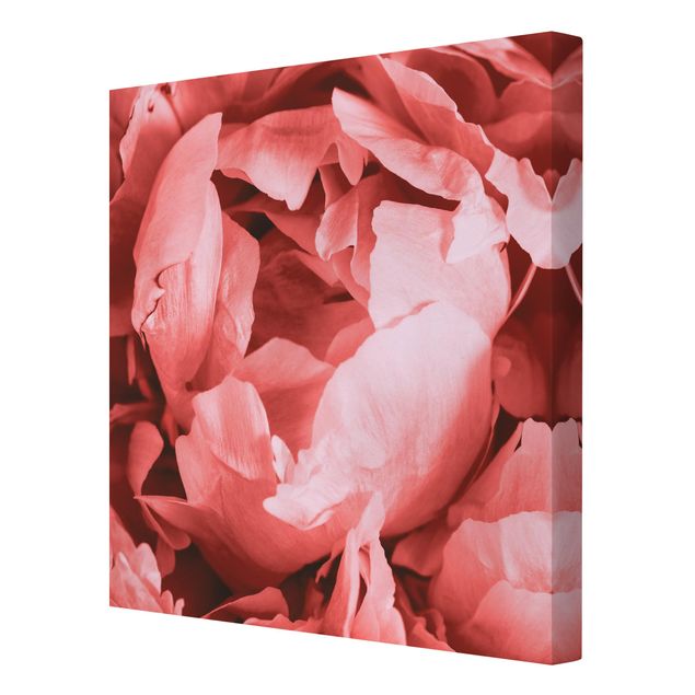 Tavlor rosa Peony Blossom Coral
