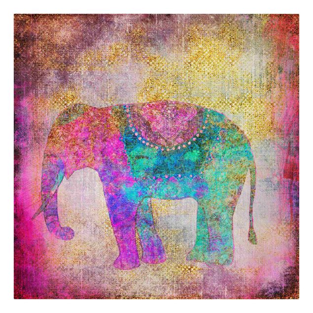 Canvastavlor andlig Colourful Collage - Indian Elephant