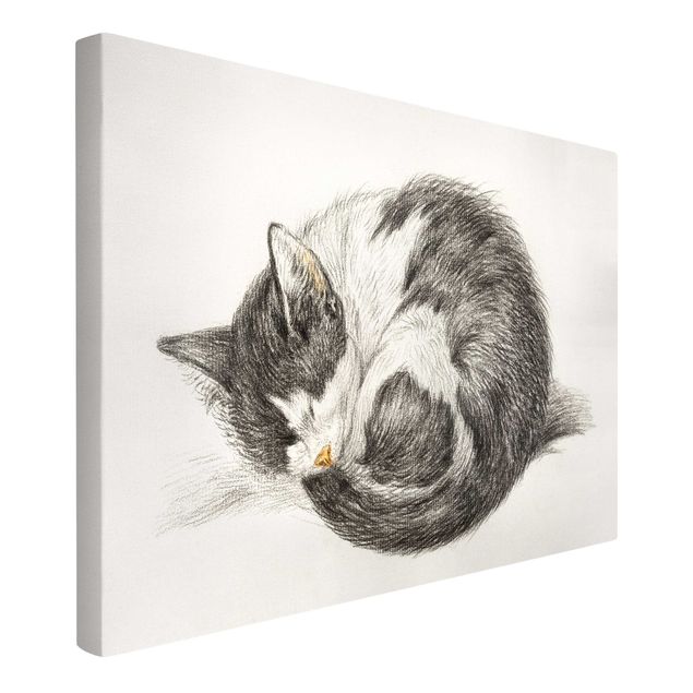 Canvastavlor svart och vitt Vintage Drawing Cat II