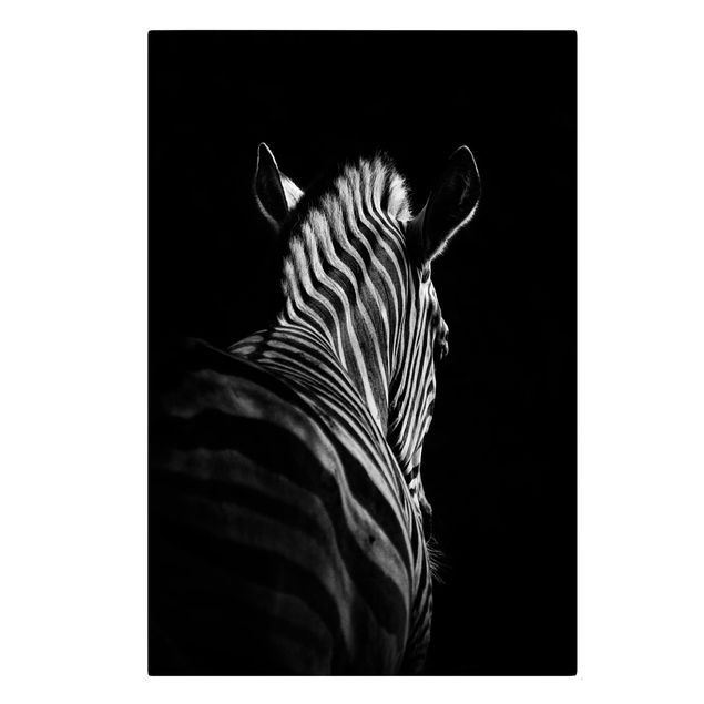 Canvastavlor djur Dark Zebra Silhouette