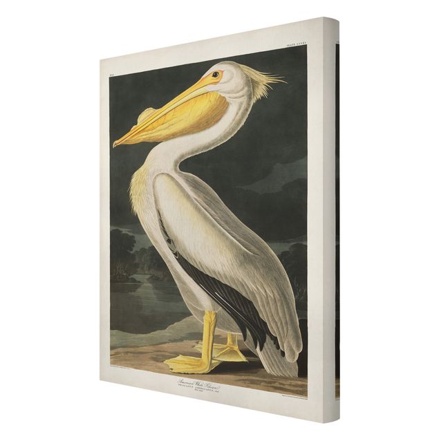 Tavlor gul Vintage Board White Pelican