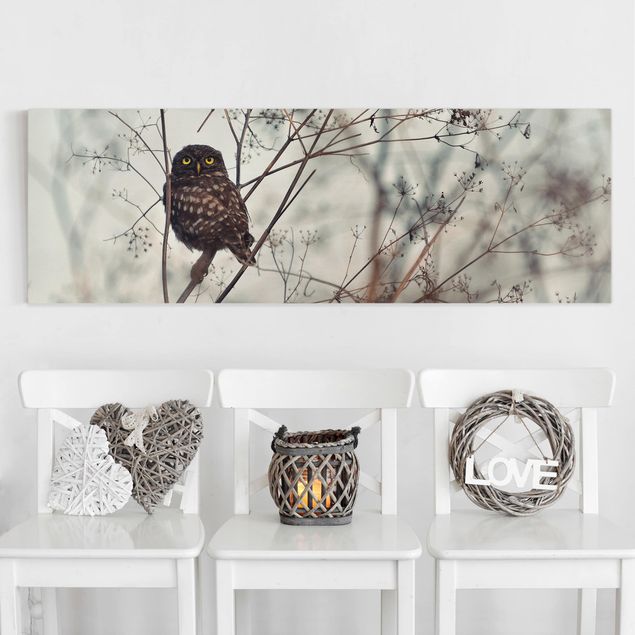 Kök dekoration Owl In The Winter