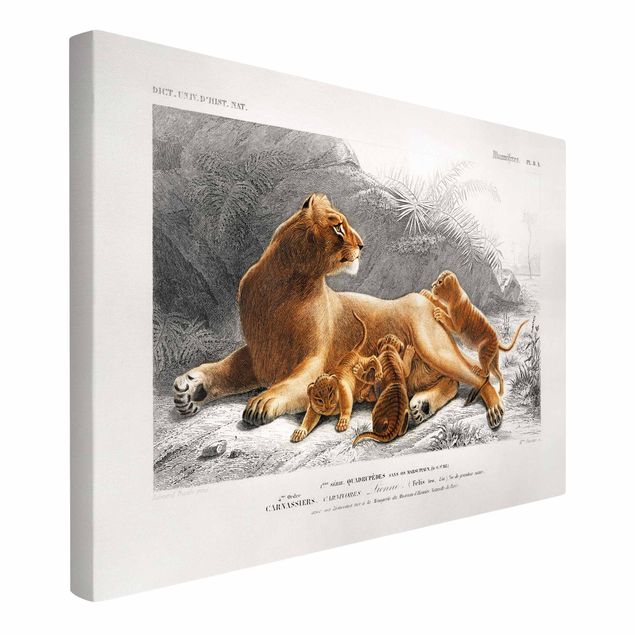 Tavlor lejon Vintage Board Lioness And Lion Cubs