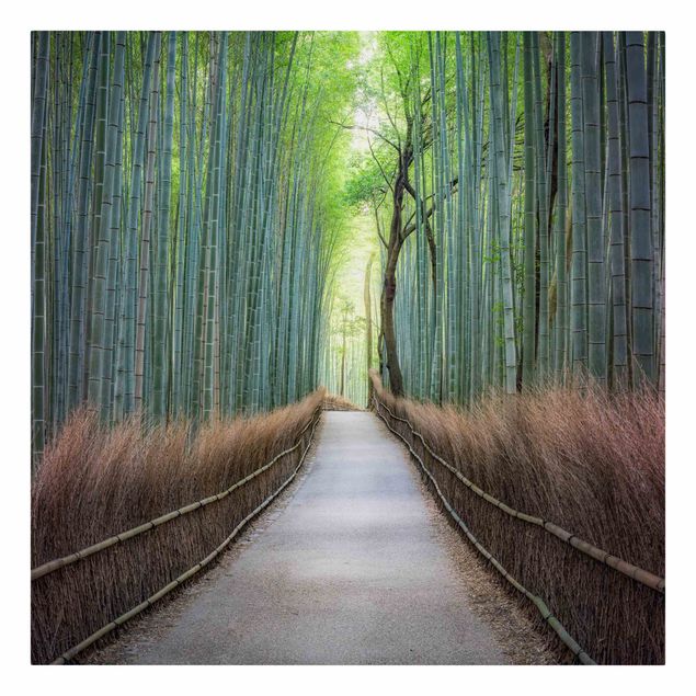 Canvastavlor Arkitektur och Skyline The Path Through The Bamboo