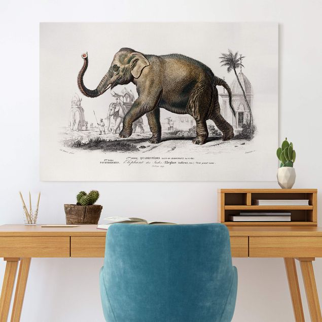 Canvastavlor elefanter Vintage Board Elephant
