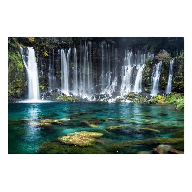 Tavlor träd Shiraito Waterfall