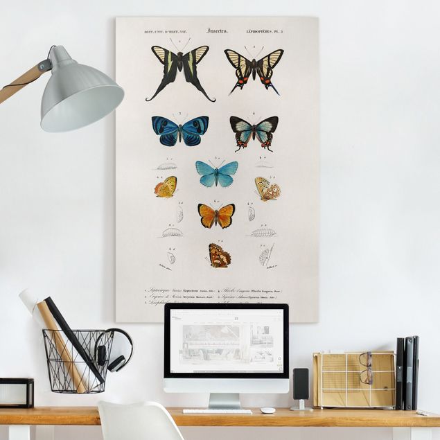Kök dekoration Vintage Board Butterflies I