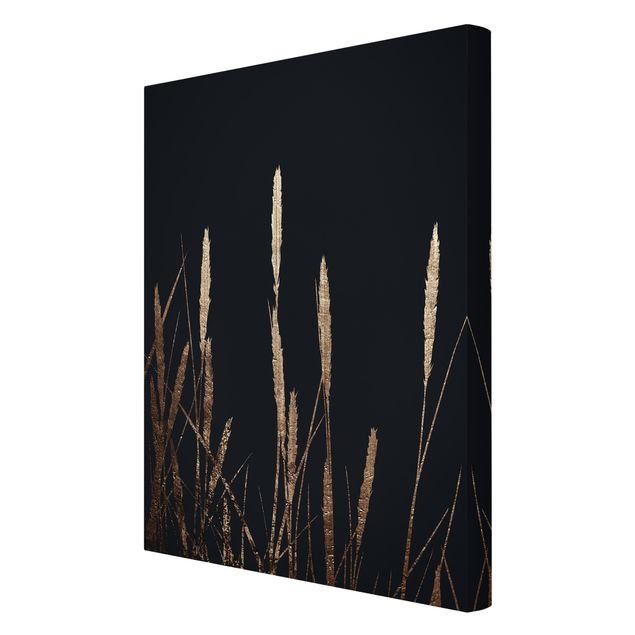 Tavlor blommor  Graphical Plant World - Golden Reed