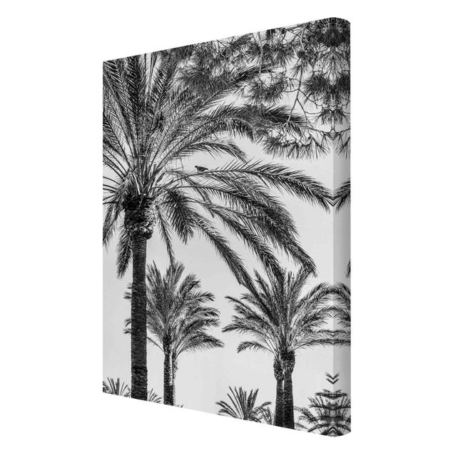 Tavlor blommor Palm Trees At Sunset Black And White