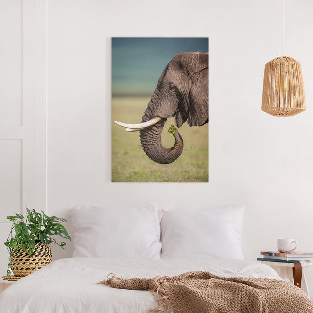 Kök dekoration Feeding Elephants In Africa