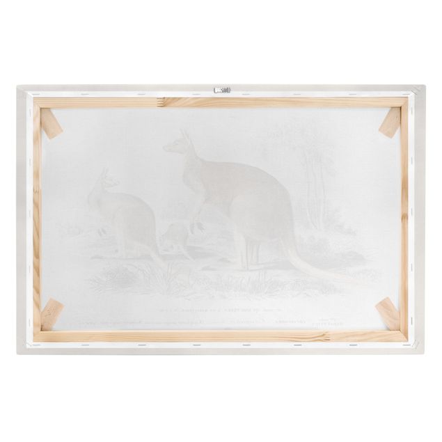 Tavlor brun Vintage Board Kangaroo