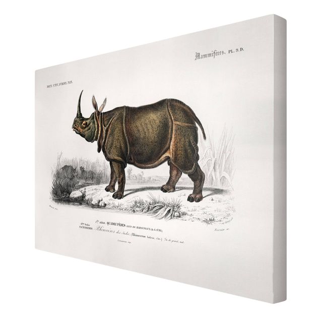 Canvastavlor djur Vintage Board Rhino