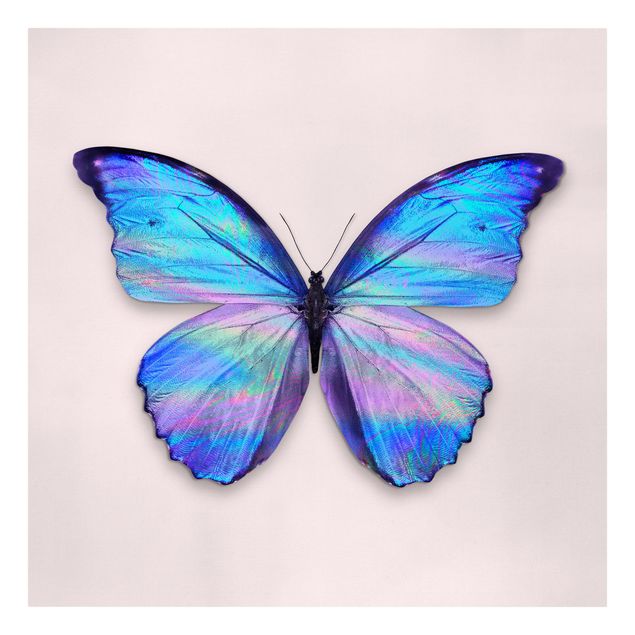 Canvastavlor konstutskrifter Holographic Butterfly