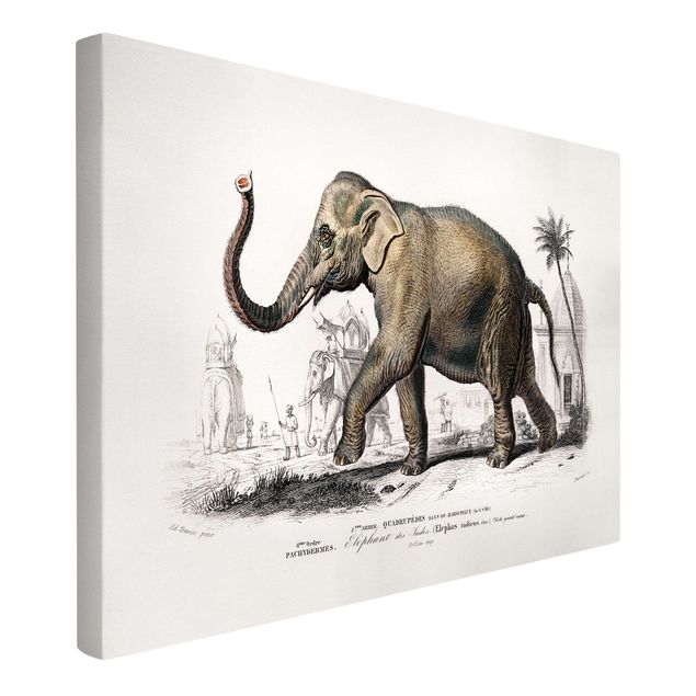 Tavlor landskap Vintage Board Elephant