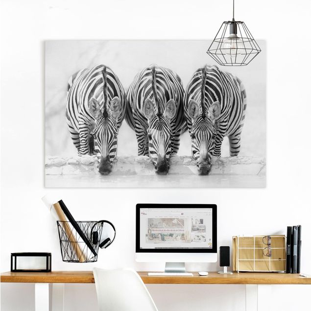 Kök dekoration Zebra Trio In Black And White