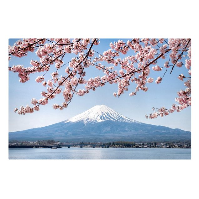Tavlor bergen Cherry Blossoms With Mt. Fuji