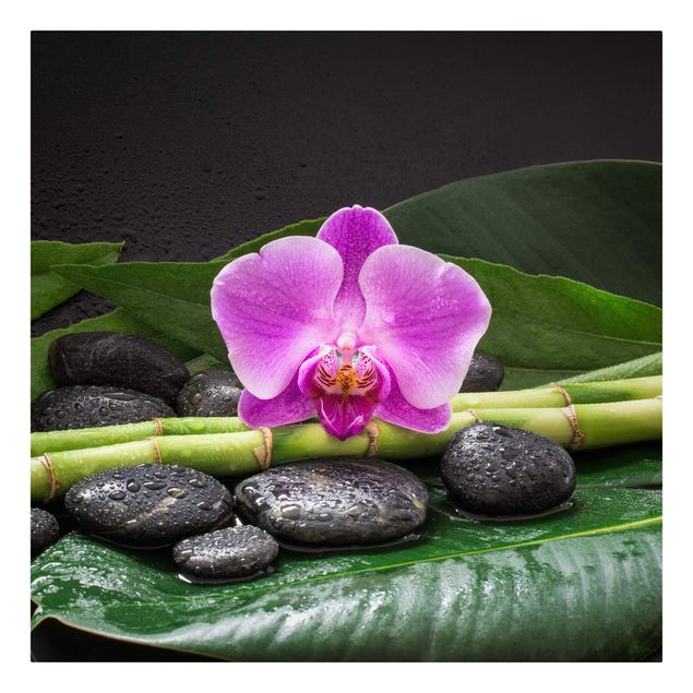Canvastavlor sten utseende Green Bamboo With Orchid Flower