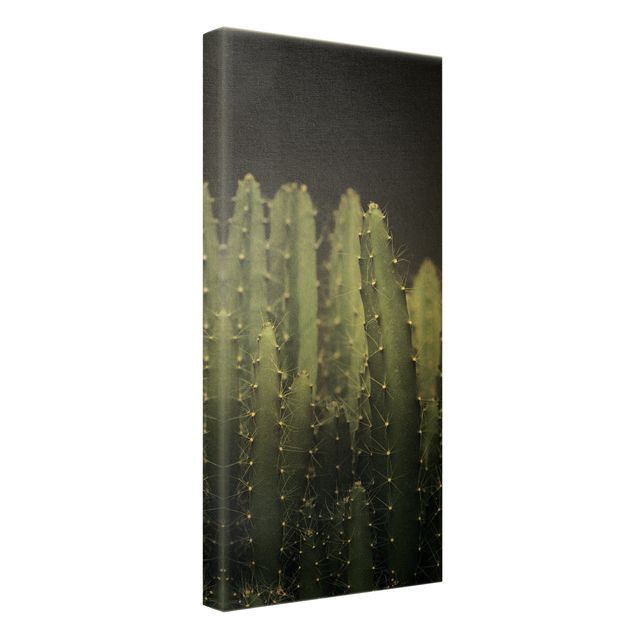 Tavlor grön Desert Cactus At Night