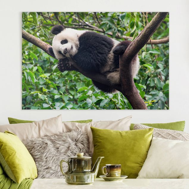 Kök dekoration Sleeping Panda On Tree Branch