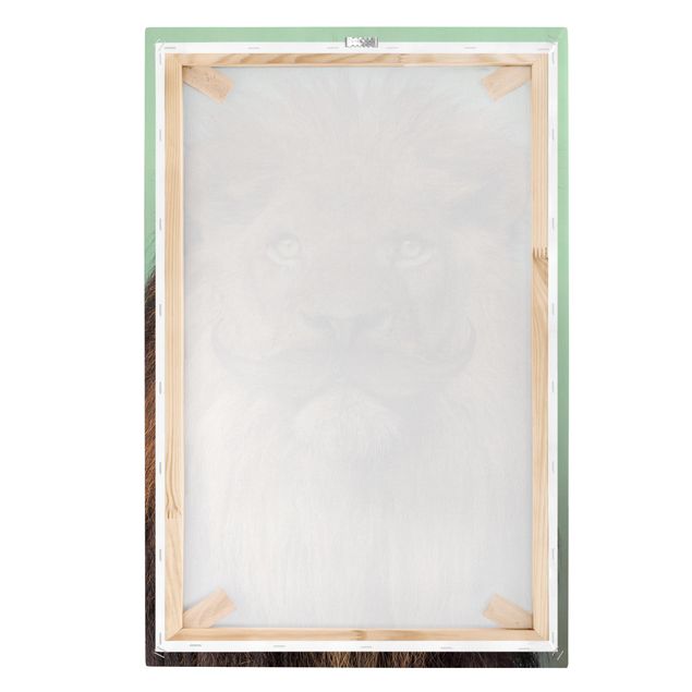 Canvastavlor djur Lion With Beard