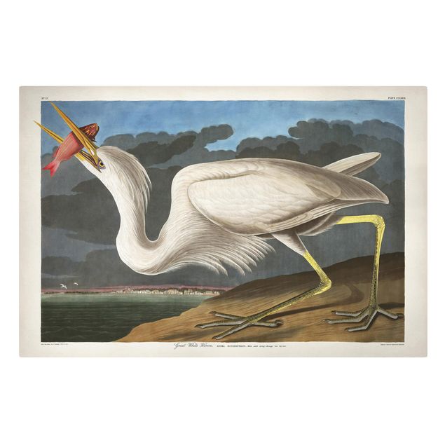 Canvastavlor vintage Vintage Board Great White Egret