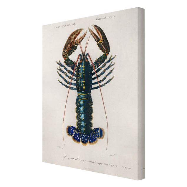 Tavlor Vintage Board Blue Lobster