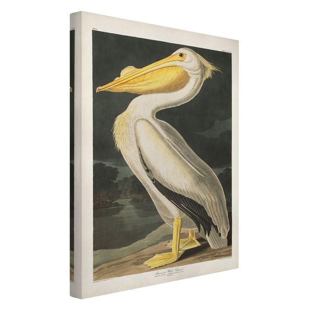 Canvastavlor djur Vintage Board White Pelican