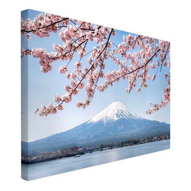 Canvastavlor bergen Cherry Blossoms With Mt. Fuji