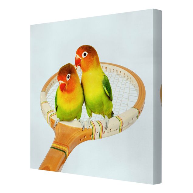 Canvastavlor djur Tennis With Birds