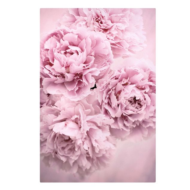 Tavlor blommor  Pink Peonies