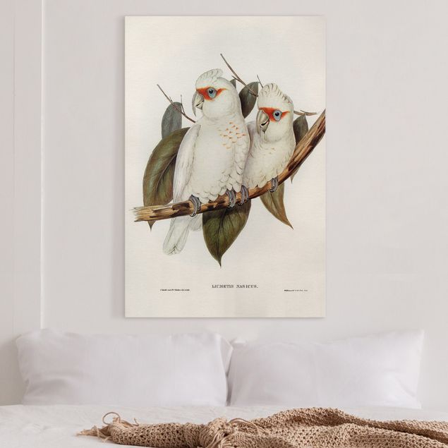Kök dekoration Vintage Illustration White Cockatoo