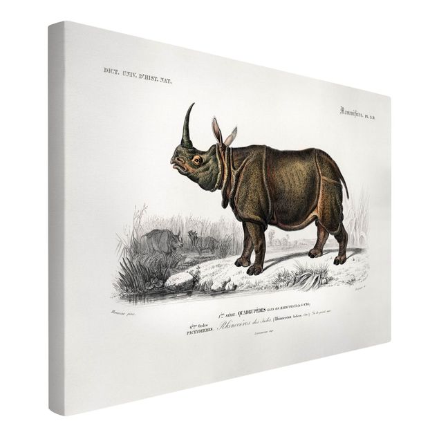 Canvastavlor landskap Vintage Board Rhino