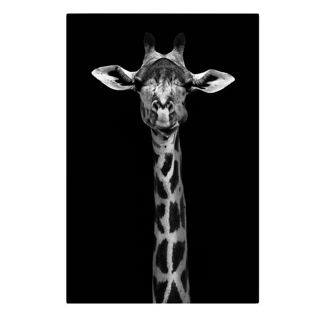 Canvastavlor djur Dark Giraffe Portrait